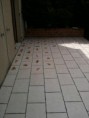 /album/terrasse1/a525036-479104378781754-1832023860-n-1-jpg/
